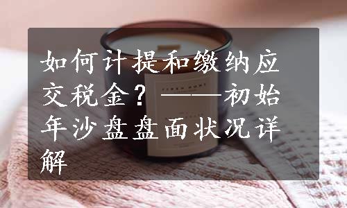 如何计提和缴纳应交税金？——初始年沙盘盘面状况详解