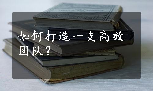 如何打造一支高效团队？