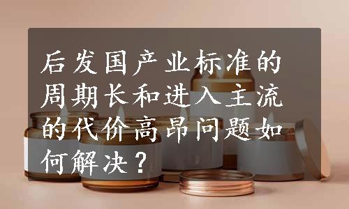 后发国产业标准的周期长和进入主流的代价高昂问题如何解决？