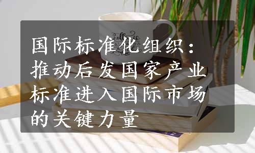 国际标准化组织：推动后发国家产业标准进入国际市场的关键力量