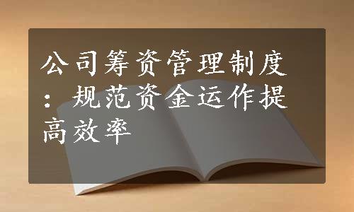 公司筹资管理制度：规范资金运作提高效率