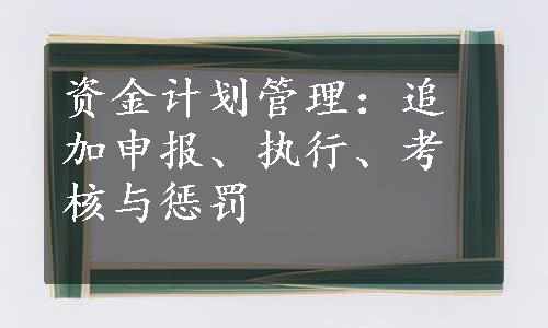 资金计划管理：追加申报、执行、考核与惩罚