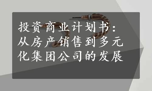 投资商业计划书：从房产销售到多元化集团公司的发展