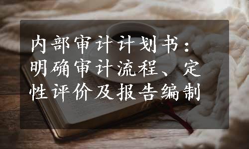 内部审计计划书：明确审计流程、定性评价及报告编制