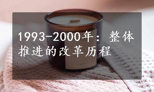 1993-2000年：整体推进的改革历程