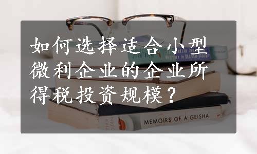 如何选择适合小型微利企业的企业所得税投资规模？