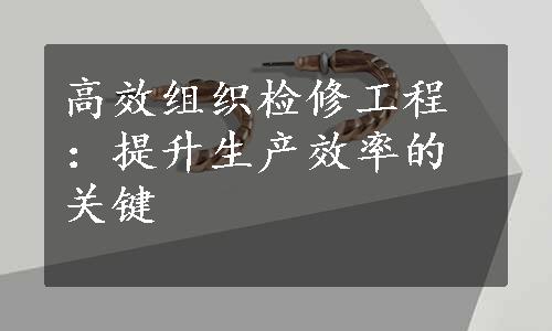 高效组织检修工程：提升生产效率的关键