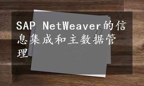 SAP NetWeaver的信息集成和主数据管理