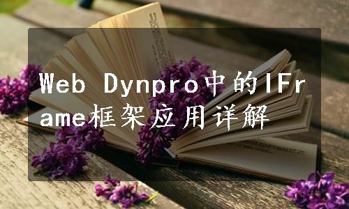 Web Dynpro中的IFrame框架应用详解