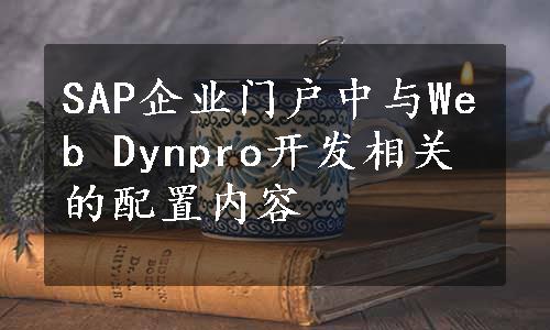 SAP企业门户中与Web Dynpro开发相关的配置内容