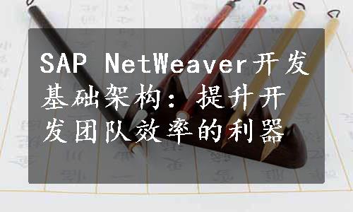 SAP NetWeaver开发基础架构：提升开发团队效率的利器