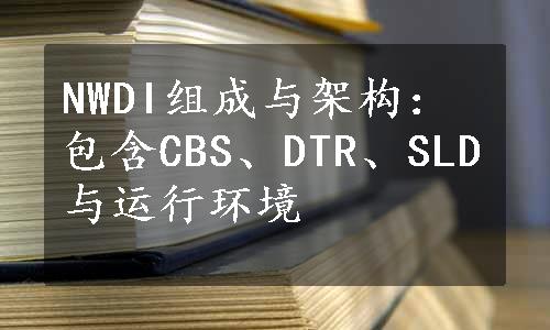 NWDI组成与架构：包含CBS、DTR、SLD与运行环境