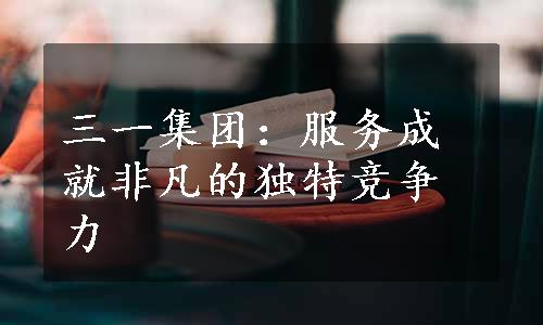 三一集团：服务成就非凡的独特竞争力