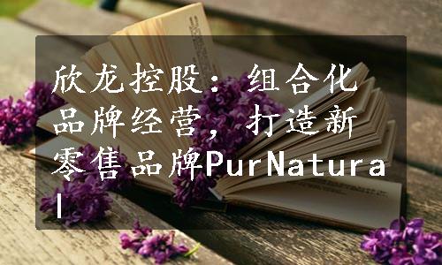 欣龙控股：组合化品牌经营，打造新零售品牌PurNatural