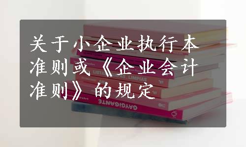 关于小企业执行本准则或《企业会计准则》的规定