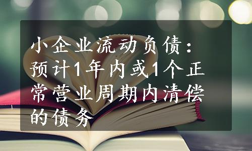 小企业流动负债：预计1年内或1个正常营业周期内清偿的债务