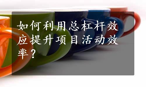 如何利用总杠杆效应提升项目活动效率？