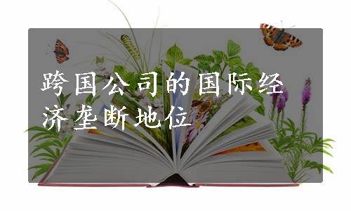 跨国公司的国际经济垄断地位