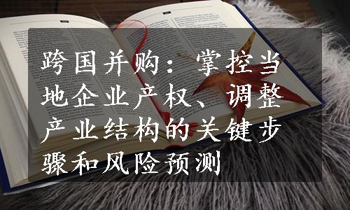 跨国并购：掌控当地企业产权、调整产业结构的关键步骤和风险预测