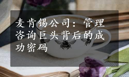 麦肯锡公司：管理咨询巨头背后的成功密码