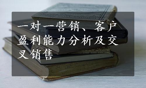 一对一营销、客户盈利能力分析及交叉销售