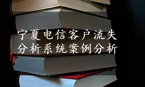 宁夏电信客户流失分析系统案例分析