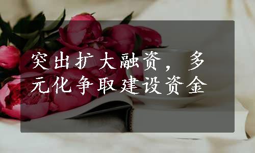 突出扩大融资，多元化争取建设资金