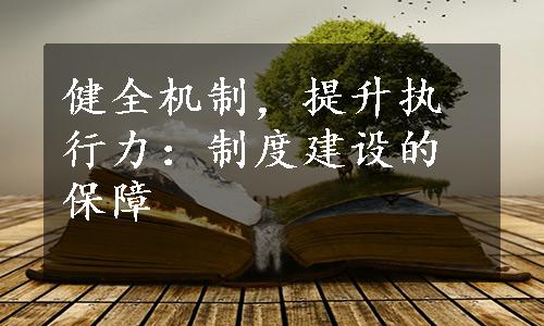 健全机制，提升执行力：制度建设的保障