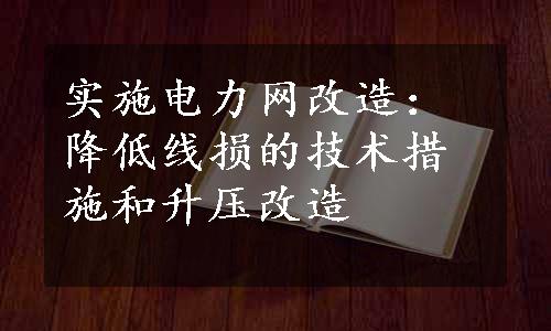 实施电力网改造：降低线损的技术措施和升压改造