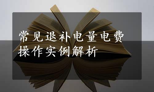 常见退补电量电费操作实例解析