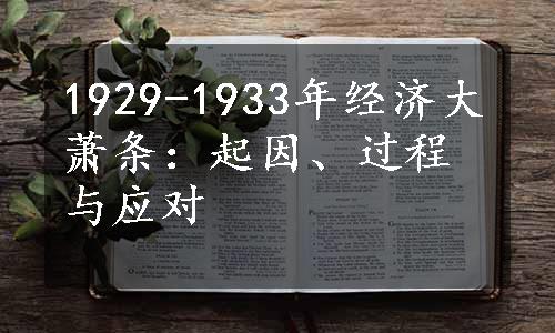 1929-1933年经济大萧条：起因、过程与应对