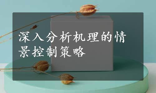 深入分析机理的情景控制策略