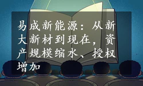 易成新能源：从新大新材到现在，资产规模缩水、授权增加