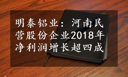 明泰铝业：河南民营股份企业2018年净利润增长超四成