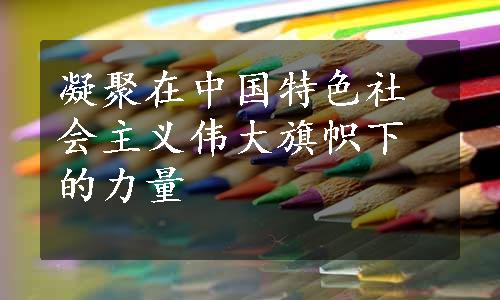 凝聚在中国特色社会主义伟大旗帜下的力量