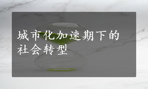 城市化加速期下的社会转型