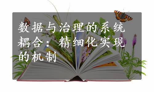 数据与治理的系统耦合：精细化实现的机制