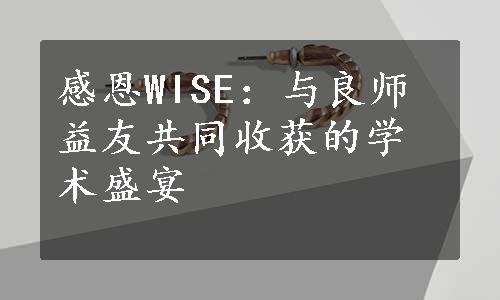 感恩WISE：与良师益友共同收获的学术盛宴