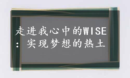 走进我心中的WISE：实现梦想的热土