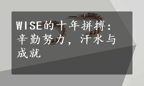 WISE的十年拼搏：辛勤努力，汗水与成就