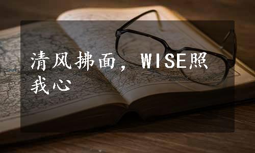 清风拂面，WISE照我心