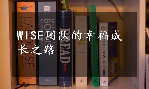 WISE团队的幸福成长之路