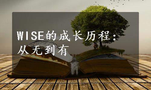 WISE的成长历程：从无到有