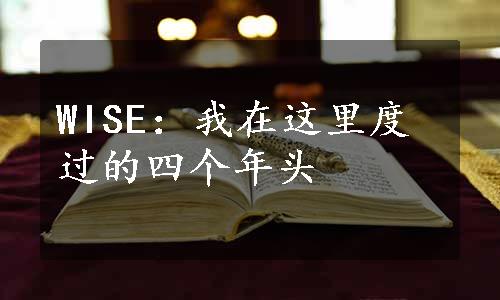 WISE：我在这里度过的四个年头