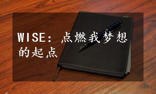 WISE：点燃我梦想的起点