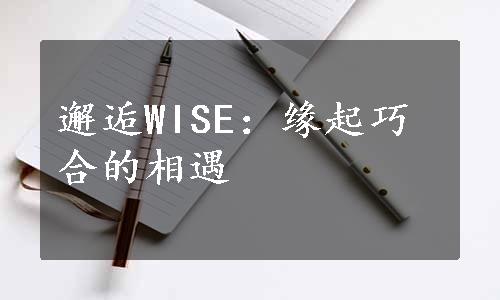 邂逅WISE：缘起巧合的相遇