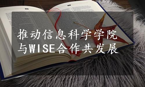 推动信息科学学院与WISE合作共发展