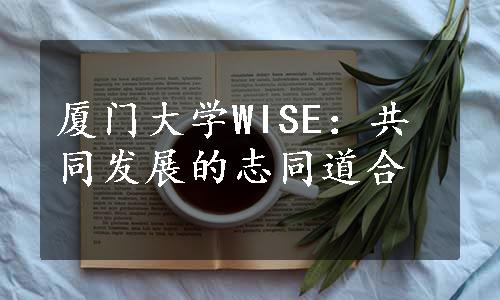 厦门大学WISE：共同发展的志同道合