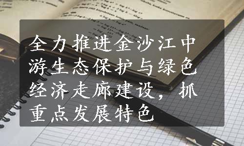 全力推进金沙江中游生态保护与绿色经济走廊建设，抓重点发展特色