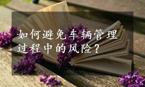 如何避免车辆管理过程中的风险？